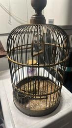 Vogel kooi, Dieren en Toebehoren, Ophalen of Verzenden, Zo goed als nieuw, Metaal, Vogelkooi