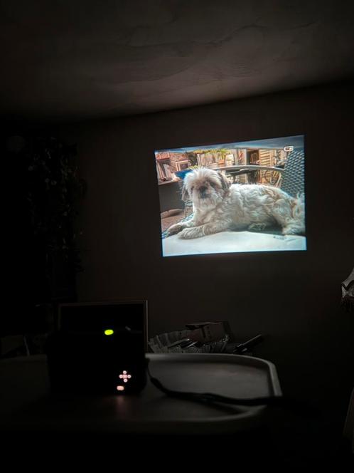 Zeldzame Nikon Coolpix S1100pj met ingebouwde projector, Audio, Tv en Foto, Actiecamera's, Zo goed als nieuw, GoPro, Ophalen of Verzenden