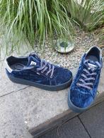 Velour sneakers TOMMY JEANS mt 39, Kleding | Dames, Schoenen, Blauw, Ophalen of Verzenden, Tommy Jeans, Sneakers of Gympen