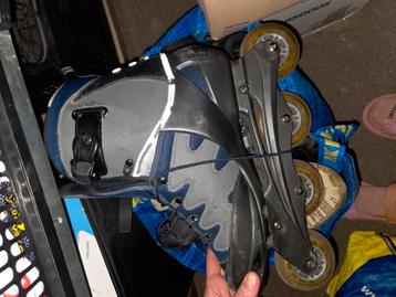 Heren / mannen skates/ skeelers maat 45 beschikbaar voor biedingen