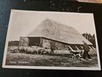 Heerde schaapskooi / herder, Verzamelen, Ophalen of Verzenden, Voor 1920