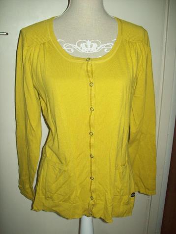 Leuk fijn mosterd geel groen cardigan vest van Didi maat XL beschikbaar voor biedingen