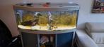 Aquatlantis aquarium 450l, Dieren en Toebehoren, Ophalen, Zo goed als nieuw, Gevuld zoetwateraquarium