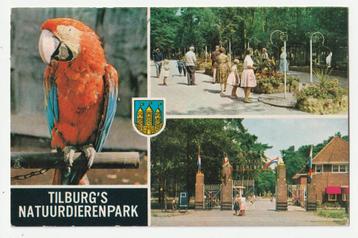 Tilburg dierentuin zoo Tilburg's Natuurdierenpark 1973 beschikbaar voor biedingen