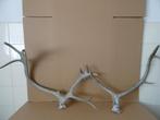 Curiosa groot gewei geweien hertengewei gewei hert ree 59cm, Ophalen of Verzenden, Gebruikt, Hert, Gewei of Kop
