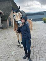 Verzorgpony gezocht / bijrijder aangeboden, Dieren en Toebehoren, Ophalen of Verzenden, Nieuw