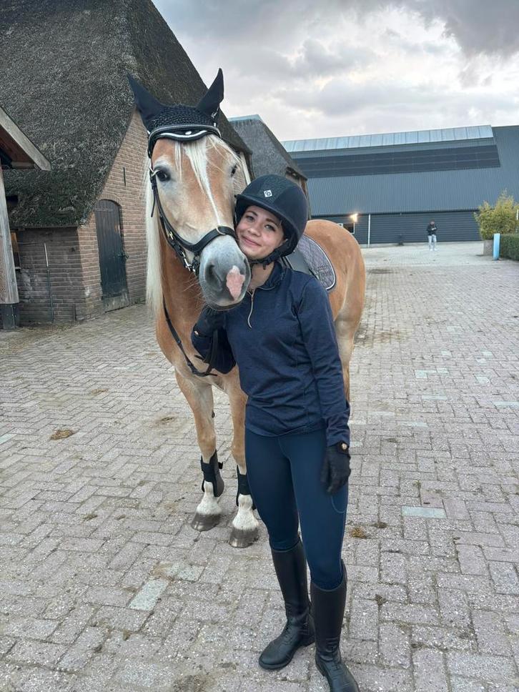 Verzorgpony gezocht / bijrijder aangeboden, Dieren en Toebehoren, Paarden en Pony's | Verzorgingsproducten, Nieuw, Ophalen of Verzenden