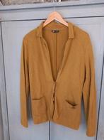Didi vest M, Kleding | Dames, Truien en Vesten, Didi, Ophalen of Verzenden, Zo goed als nieuw, Maat 38/40 (M)