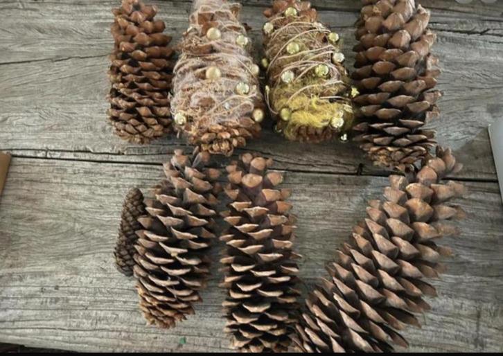 7 grote dennenappels waarvan er 2 versiert zijn., Diversen, Kerst, Zo goed als nieuw, Ophalen