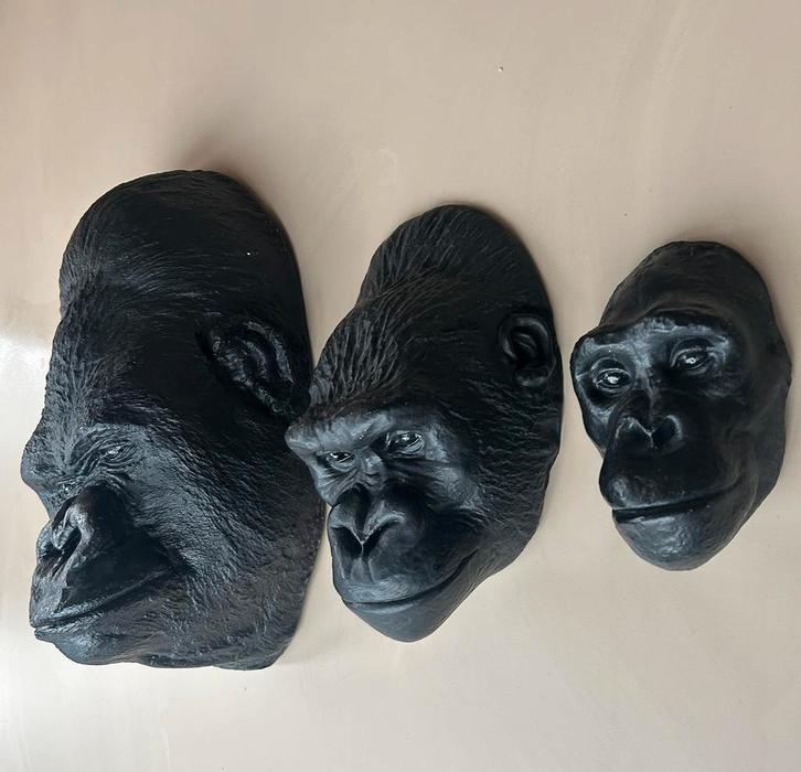 3 x een kop van een aap / wanddecoratie, Antiek en Kunst, Antiek | Woonaccessoires, Ophalen