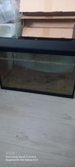 Te koop 80 cm aquarium, Gebruikt, Ophalen of Verzenden, Leeg aquarium