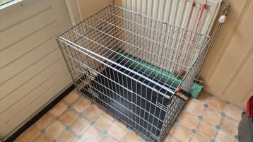  Grote transportkooi vor dieren  beschikbaar voor biedingen