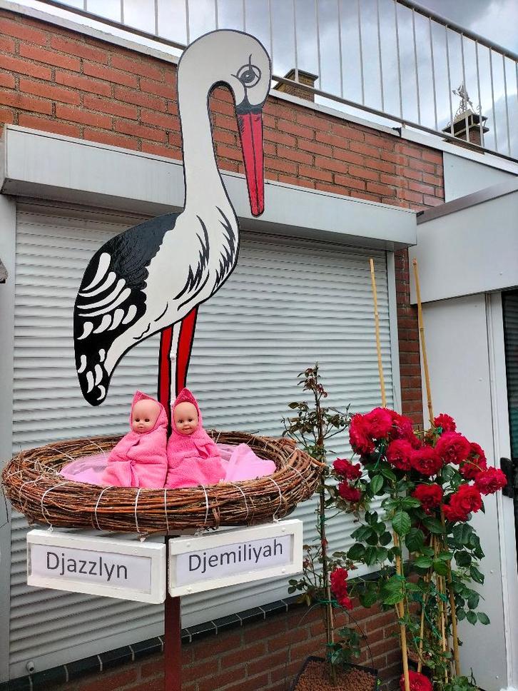 Geboorteborden de mooste en goedkoopste grootste keuze., Kinderen en Baby's, Kraamcadeaus en Geboorteborden, Nieuw, Geboortebord