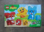 Lego Duplo Building Instruction 10858 (zie foto's), Kinderen en Baby's, Speelgoed | Duplo en Lego, Ophalen of Verzenden, Gebruikt