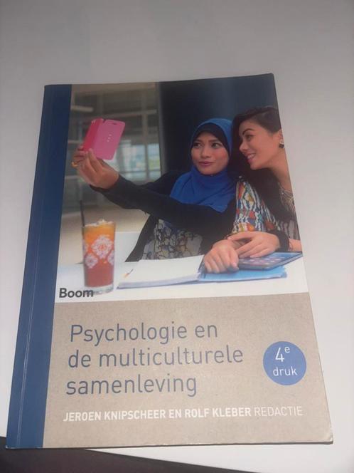 Psychologie en de multiculturele samenleving, Boeken, Psychologie, Zo goed als nieuw, Verzenden