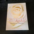 Sandra Ingerman - Soul Retrieval, Sandra Ingerman, Spiritualiteit algemeen, Ophalen of Verzenden, Zo goed als nieuw