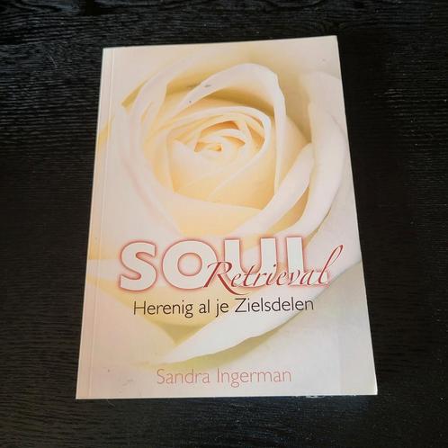 Sandra Ingerman - Soul Retrieval, Boeken, Esoterie en Spiritualiteit, Zo goed als nieuw, Spiritualiteit algemeen, Ophalen of Verzenden