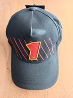 Max Verstappen World Champion nr 1 cap, Ophalen of Verzenden, Nieuw