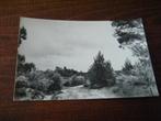 H37 - Elspeet - Gezicht vanaf de Stakenberg - Mooi/Oud, Verzamelen, Ansichtkaarten | Nederland, Ophalen of Verzenden, 1960 tot 1980