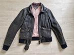 100% leren jas van Tommy Hilfiger maat 38/40, Kleding | Dames, Jassen | Zomer, Maat 38/40 (M), Bruin, Ophalen of Verzenden, Gedragen