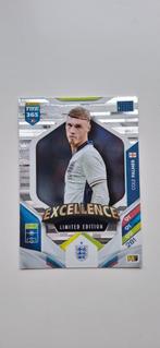 Panini FIFA Adrenalyn 365 Palmer Excellence Limited Edition, Ophalen of Verzenden, Zo goed als nieuw, Buitenlandse clubs, Spelerskaart