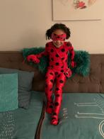 Ladybug verkleed pak 6 jaar 120 cm, Ophalen, Zo goed als nieuw, 122 t/m 128, Jongen of Meisje
