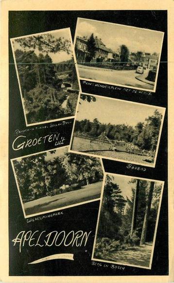 (381-039-033) Apeldoorn Groeten uit beschikbaar voor biedingen