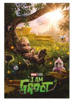 (NIEUW) POSTER VAN Groot, Ophalen of Verzenden, Nieuw