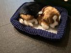 Original Beagle Perfect Petzzz (nieuwstaat), Ophalen, Nieuw