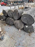 Europees Eiken stammen 40-50 cm, Ophalen, Nieuw, 180 tot 250 cm, Overige typen