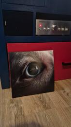 Pink Floyd - Dark Side of the Moon 50th Anniversary️, Ophalen of Verzenden, Zo goed als nieuw, 12 inch, Progressive