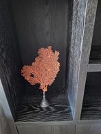 Rood koraal op houten statief (42 cm hoog), Zo goed als nieuw, Ophalen