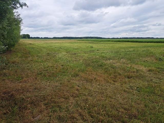 Te huur aangeboden: Weiland, grasland te Westerlee!, Dieren en Toebehoren, Stalling en Weidegang