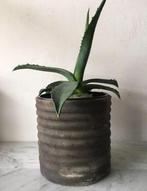 Robuuste luxe kwaliteit vintage bloempotten diverse retro, Rond, Binnen, Ophalen of Verzenden, Zo goed als nieuw