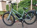Nette Batavus Dinsdag E-go 53 cm, Fietsen en Brommers, Elektrische fietsen, Ophalen, Batavus, Zo goed als nieuw, 51 tot 55 cm