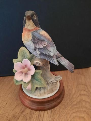 Akita vogel beschikbaar voor biedingen
