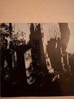 Darktown - Devin Townsend Project CD, Cd's en Dvd's, Ophalen of Verzenden, Zo goed als nieuw, Progressive