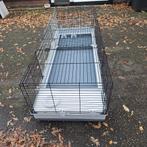 Cavia kooi, Dieren en Toebehoren, Knaagdieren en Konijnen | Hokken en Kooien, Ophalen, Zo goed als nieuw, Kooi, Minder dan 60 cm