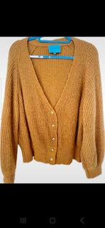 Fabienne Chapot vest XL - Nette staat, Kleding | Dames, Truien en Vesten, Overige kleuren, Maat 46/48 (XL) of groter, Ophalen of Verzenden