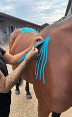 Rood licht&Aroma therapie, Taping en Massage, Dieren en Toebehoren, Ophalen of Verzenden, Nieuw