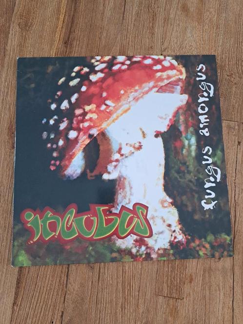 Incubus - LP NIEUW, Cd's en Dvd's, Vinyl | Rock, Nieuw in verpakking, Poprock, Ophalen of Verzenden