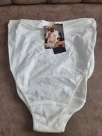 Nieuwe zwangerschapslip maat S, Kleding | Dames, Ondergoed en Lingerie, Hema, Ophalen of Verzenden, Wit, Slip