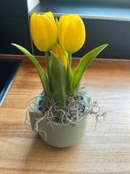 Kunst tulp, Ophalen of Verzenden, Nieuw