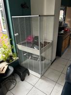 Ferplast knaagdieren kooi., Dieren en Toebehoren, Vogels | Hokken en Kooien, Ophalen, Gebruikt, Metaal, Vogelkooi