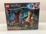 Lego Harry Potter 75967 Umbridge's Encounter, Kinderen en Baby's, Speelgoed | Duplo en Lego, Ophalen of Verzenden, Zo goed als nieuw