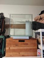 Wit Qubiq 30 aquarium, Ophalen, Gebruikt, Leeg aquarium
