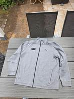 Puma vest Petronas Mercedes F1 team, Ophalen of Verzenden, Zo goed als nieuw, Grijs, Algemeen