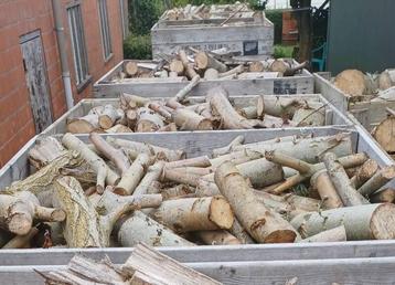 Diverse soorten haardhout, ophalen/bezorgen beschikbaar voor biedingen