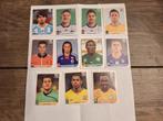 Panini voetbalplaatjes WK 2010, Ophalen of Verzenden, Zo goed als nieuw, Buitenlandse clubs, Poster, Plaatje of Sticker