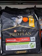 hondenbrokken  Puppy, Ophalen of Verzenden, Hond